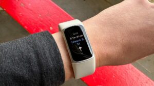 The 5 Best Fitbits for 2024: Top Fitness Trackers